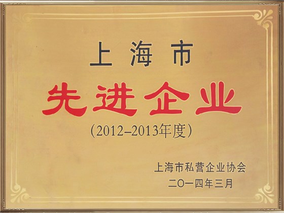 上海市先進企業(yè)
