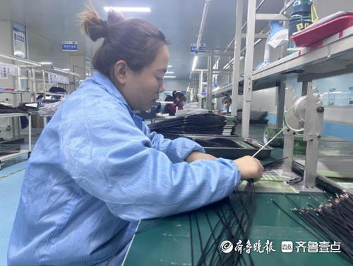 高質量發展看新區 魯西新區創新賦能助推高質量發展