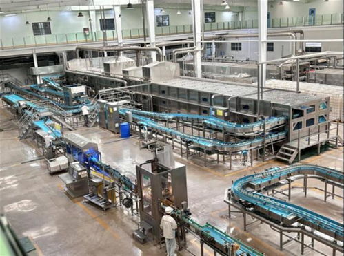 從產品創(chuàng)新到 芯片 育種 百億減免 促孝感米酒煥發(fā)新活力